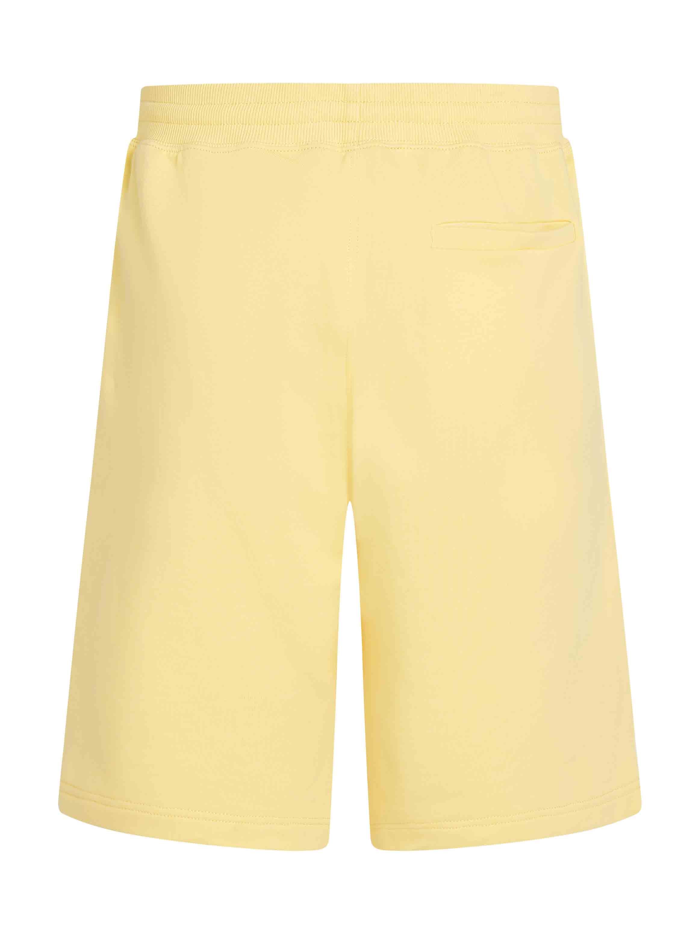 Pastel Yellow